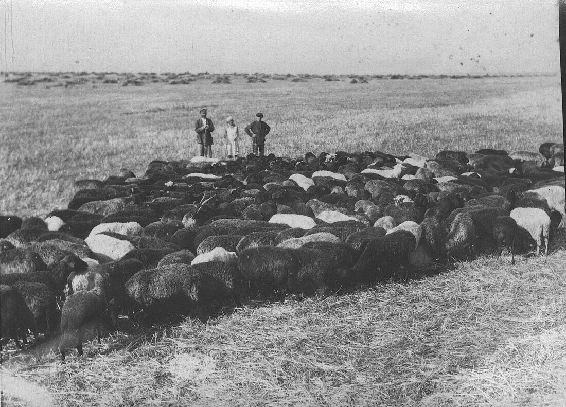 Archive Photograph