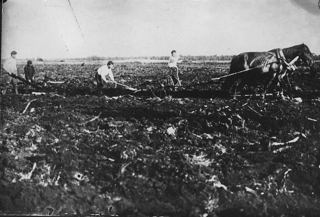 Archive Photograph
