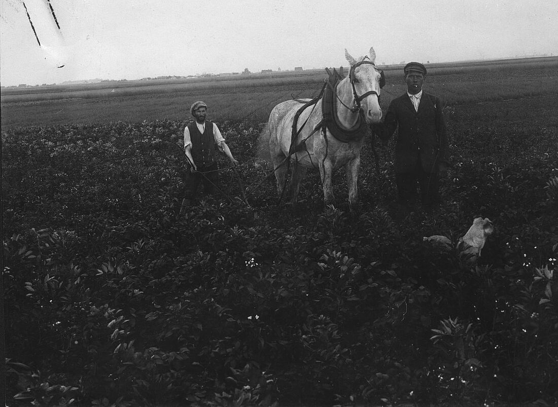 Archive Photograph