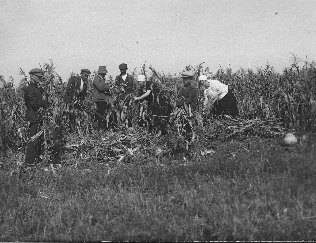 Archive Photograph