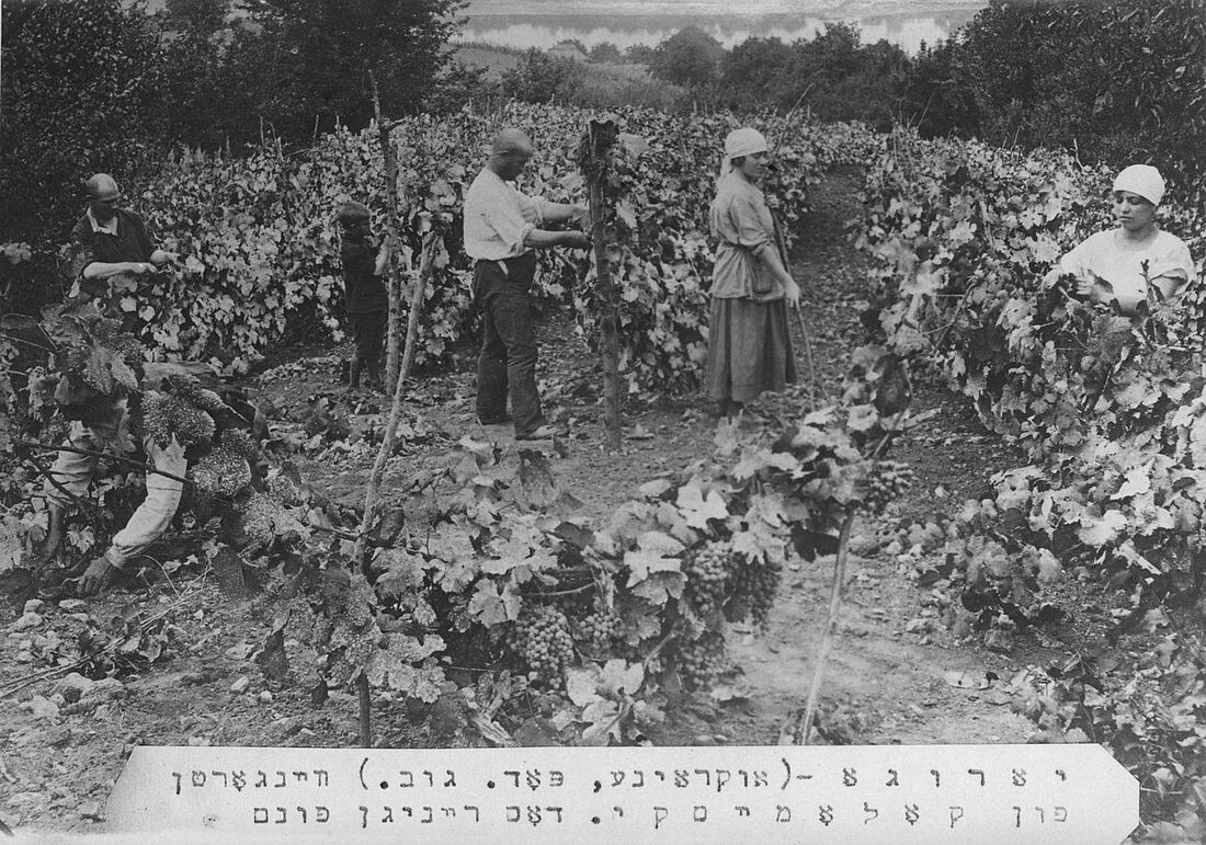 Archive Photograph