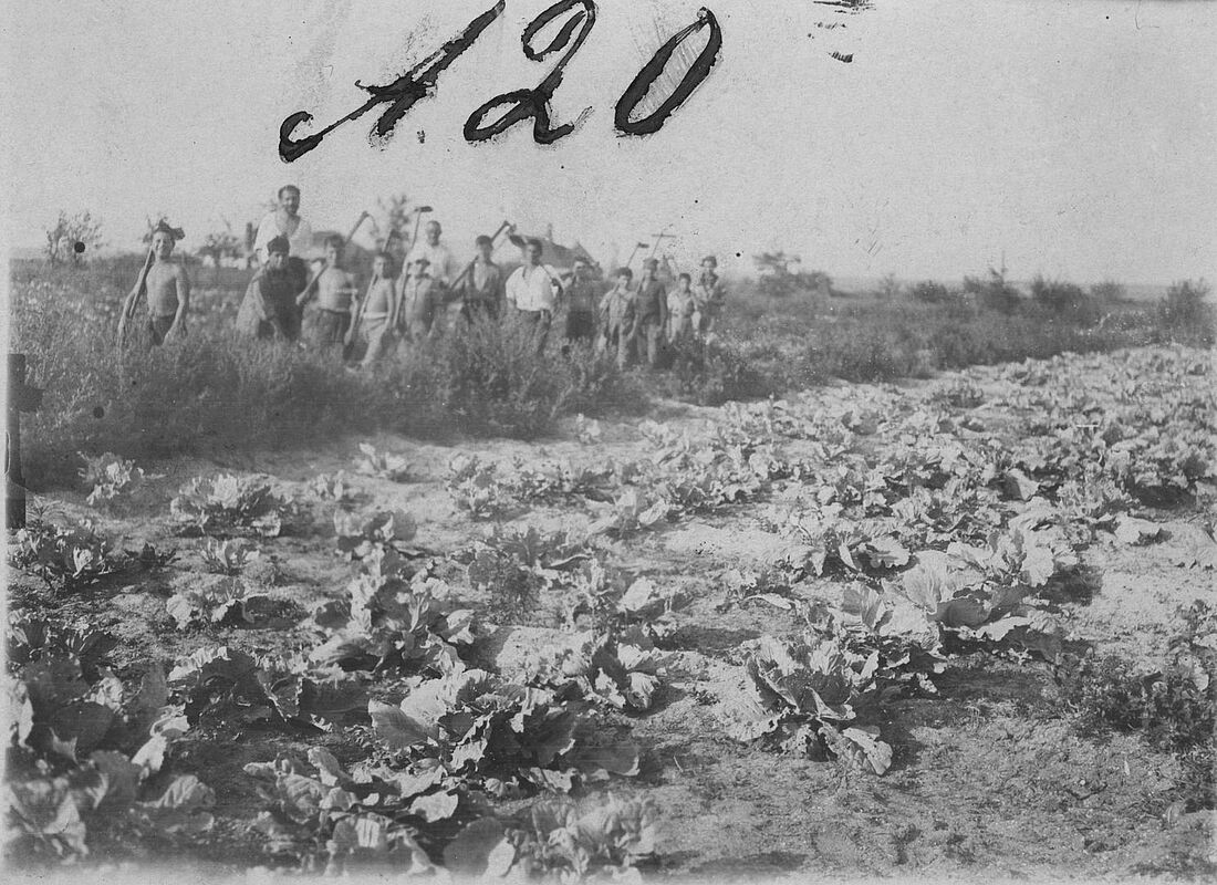 Archive Photograph