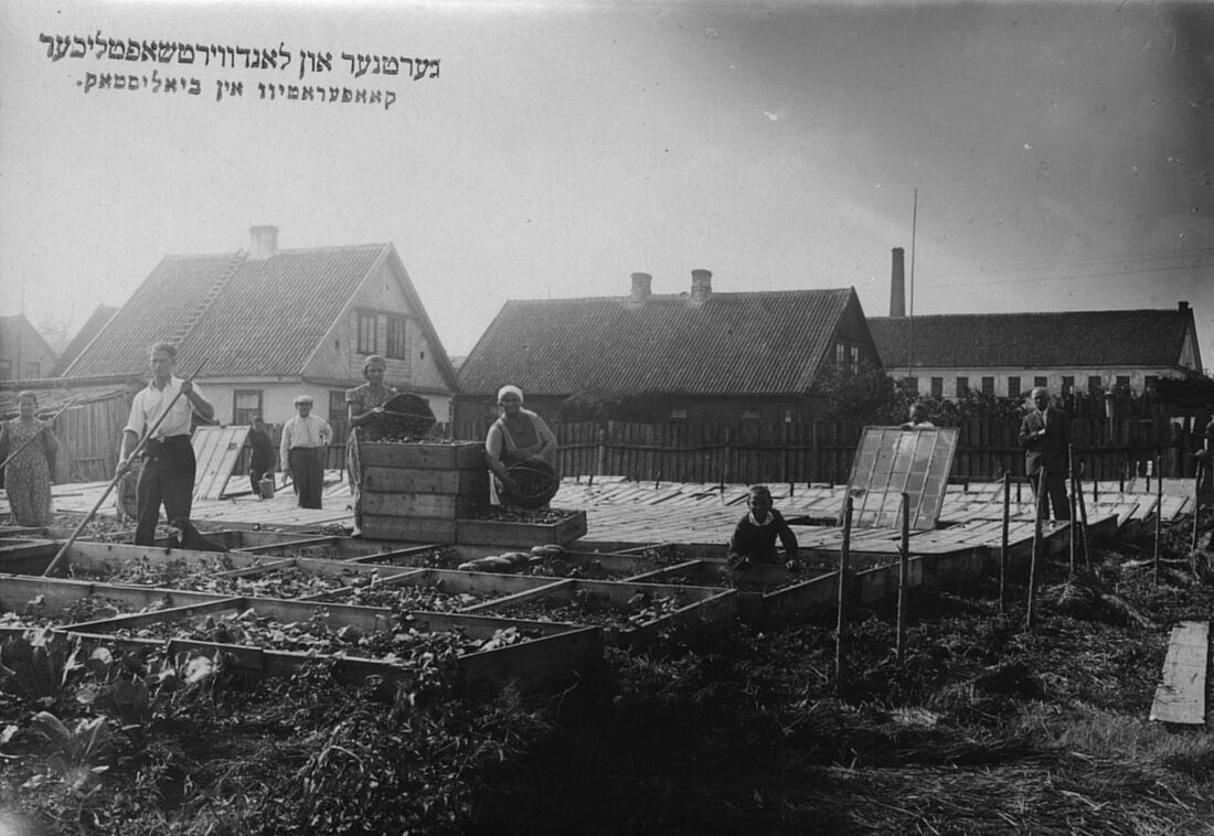 Archive Photograph