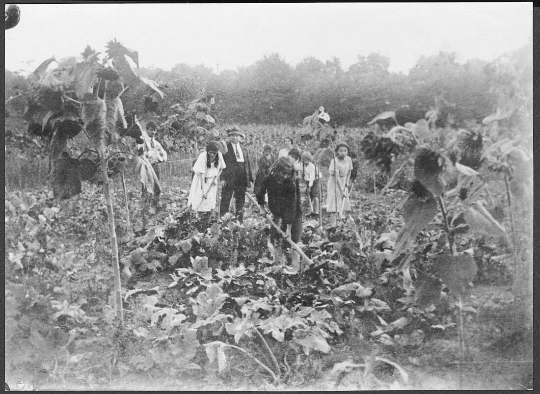Archive Photograph