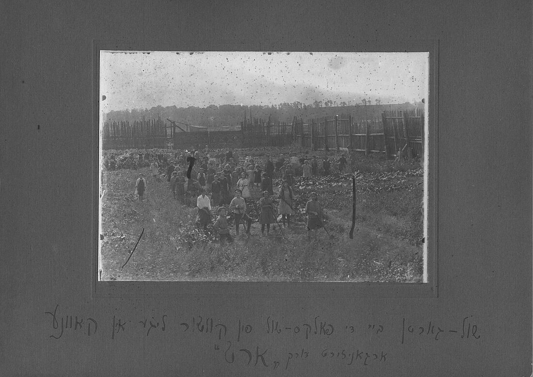 Archive Photograph