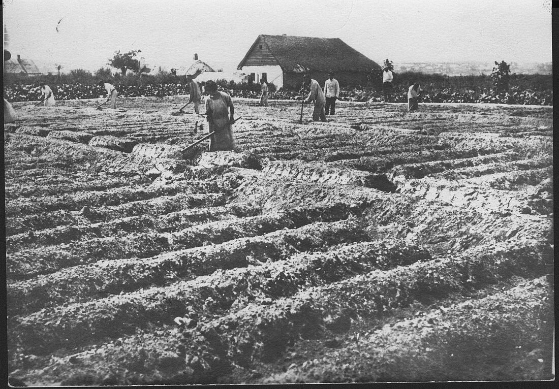Archive Photograph