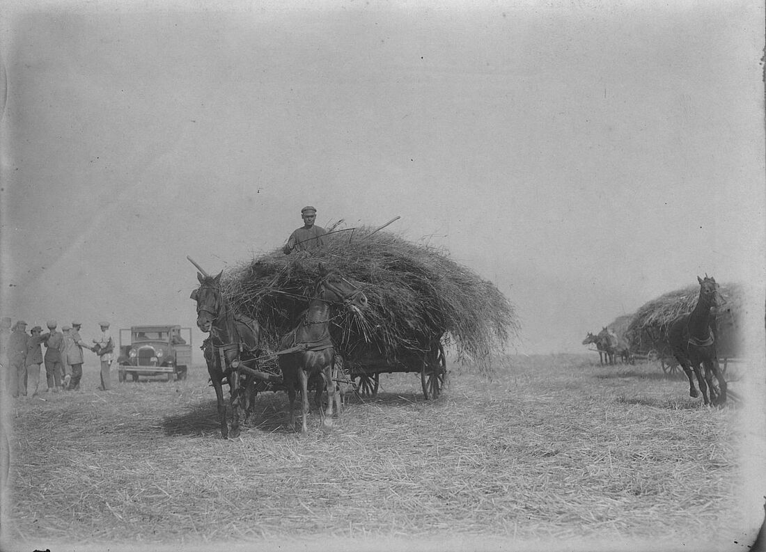 Archive Photograph