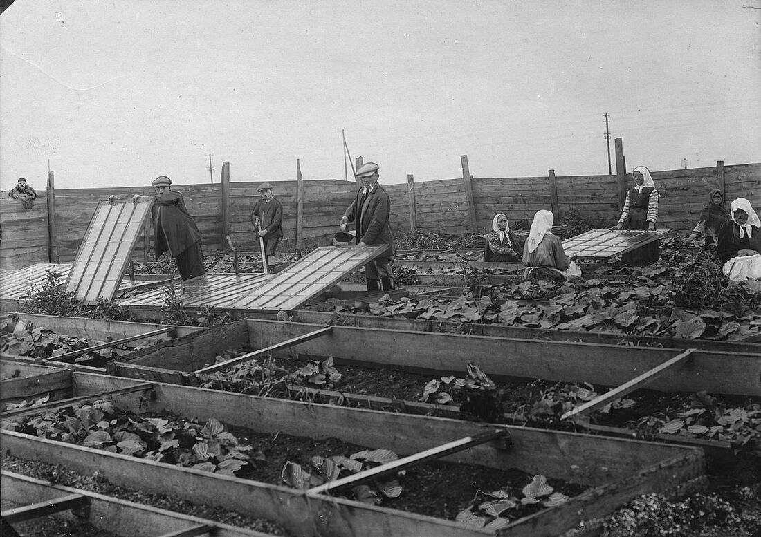 Archive Photograph