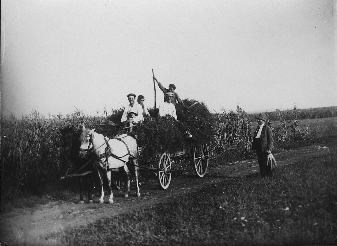 Archive Photograph