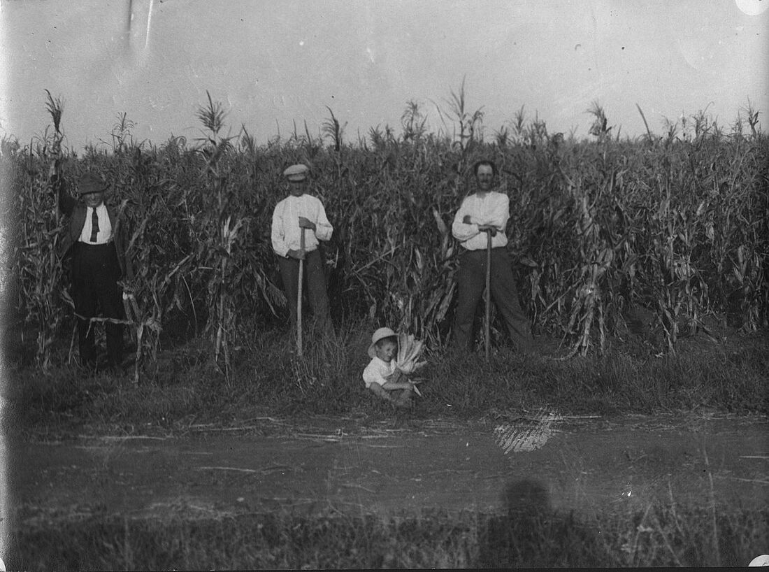 Archive Photograph