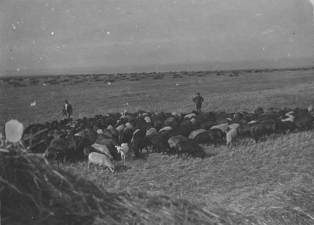 Archive Photograph