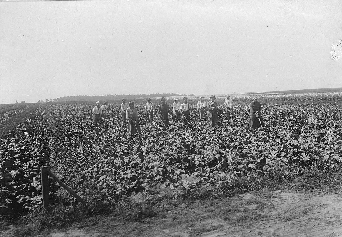 Archive Photograph