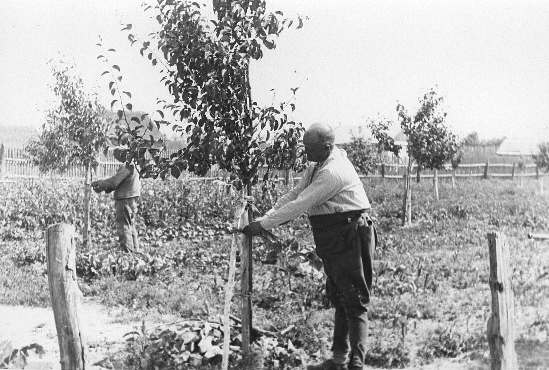 Archive Photograph