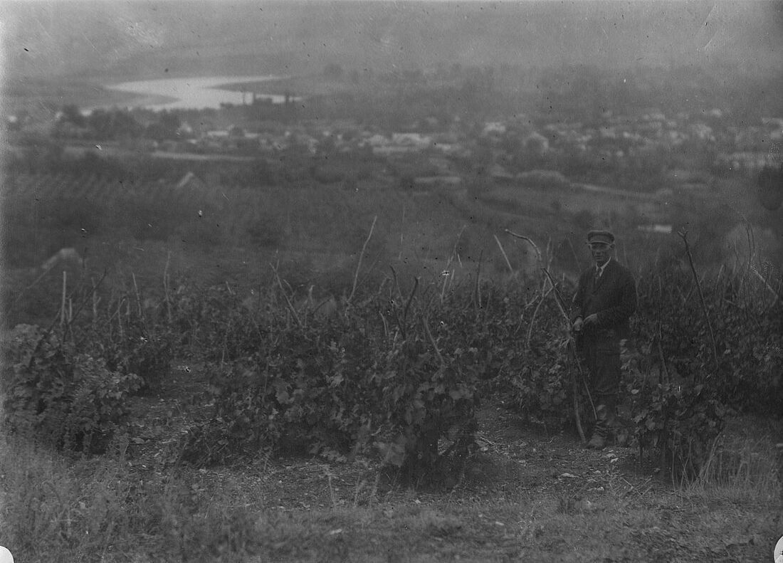 Archive Photograph