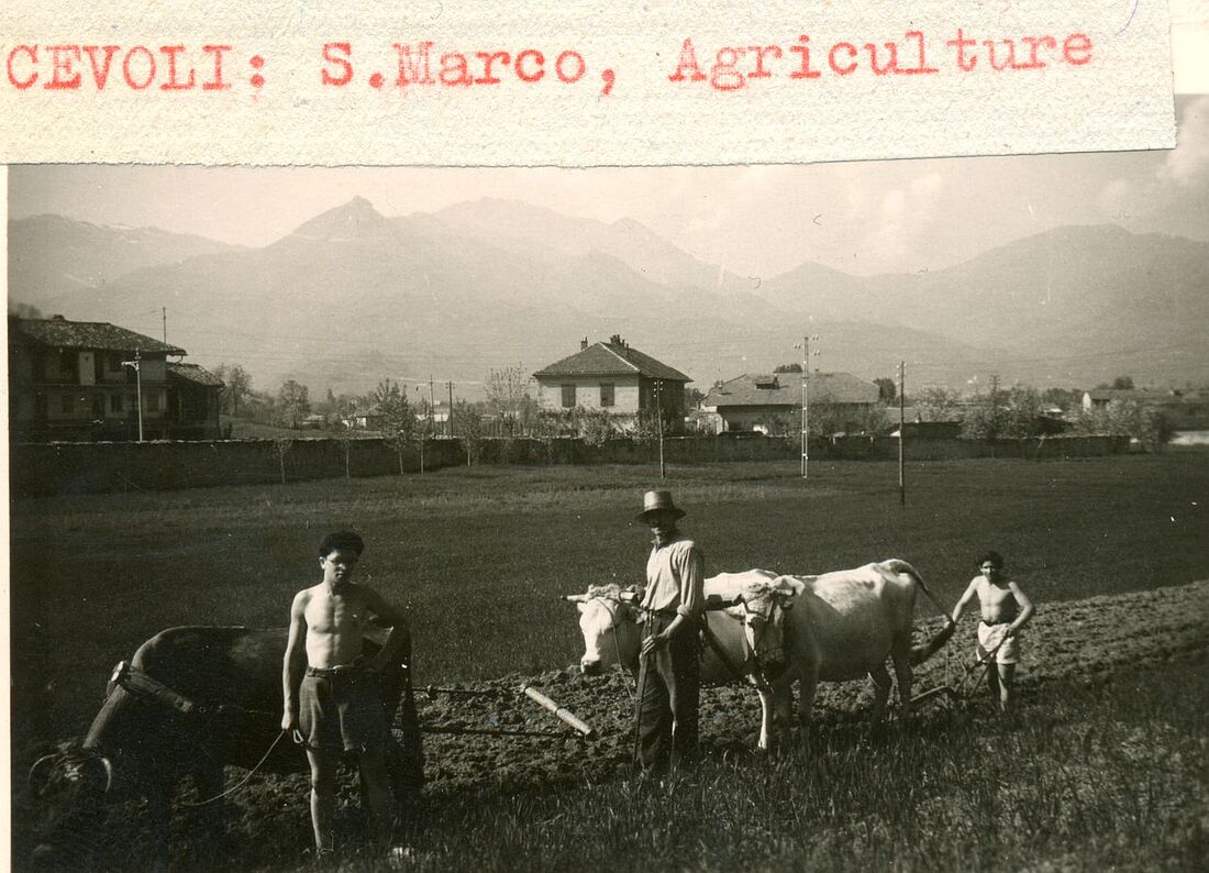 Archive Photograph