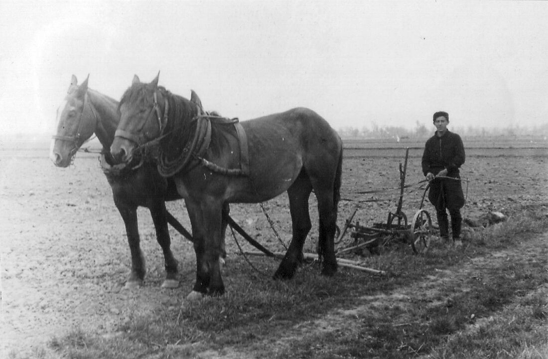Archive Photograph