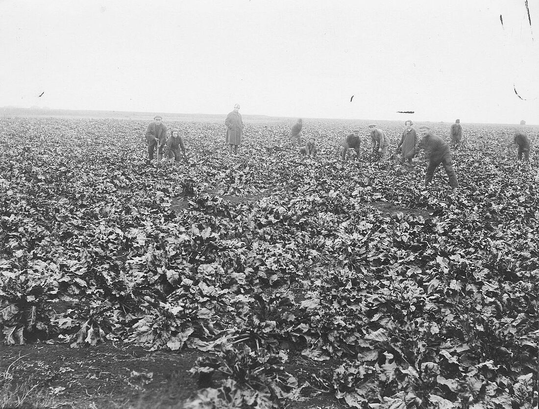 Archive Photograph