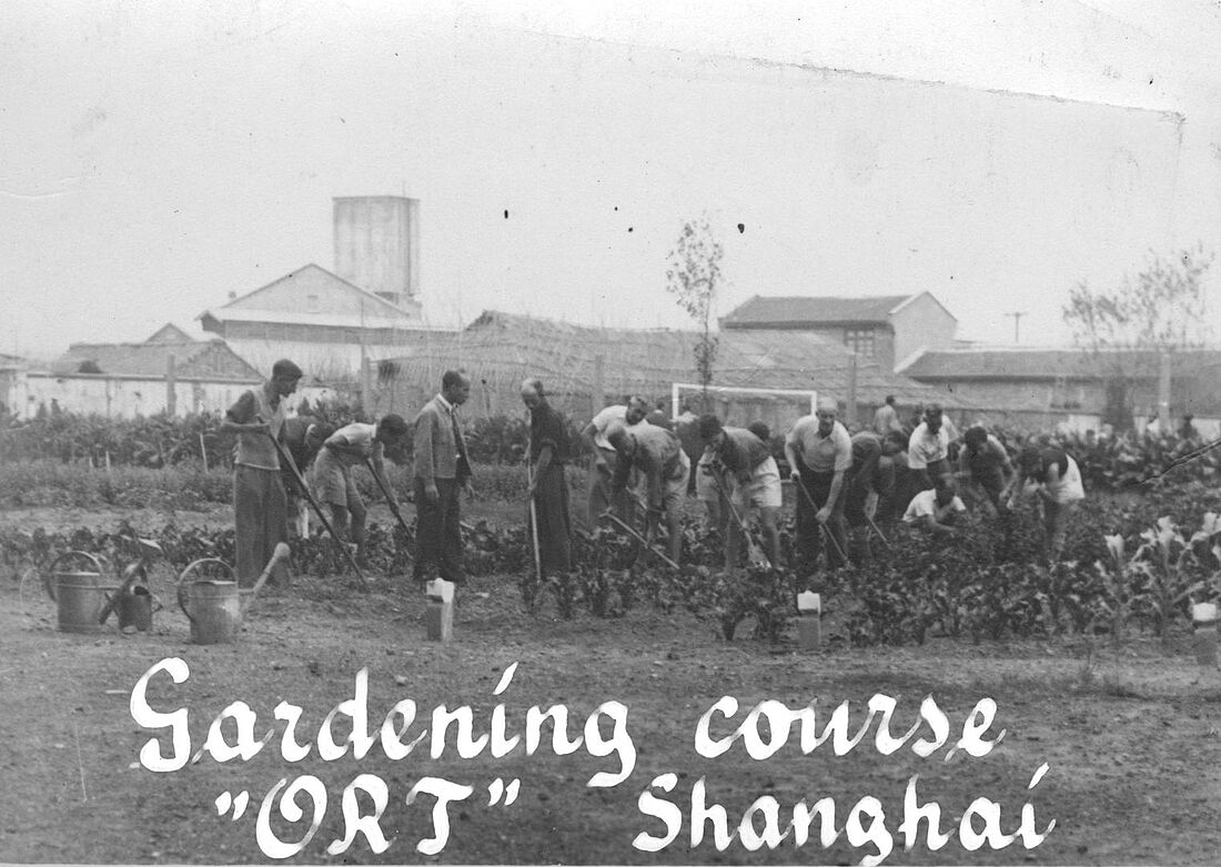 Archive Photograph