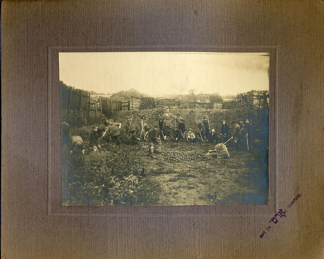 Archive Photograph