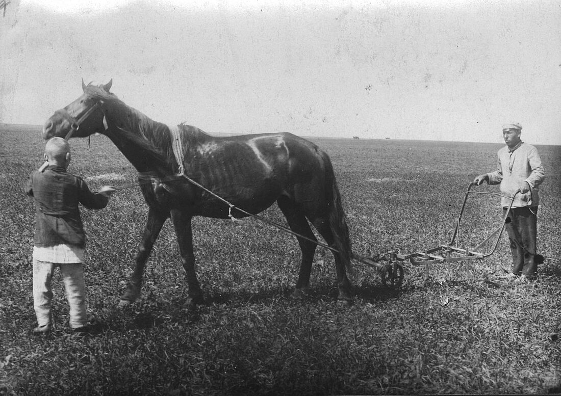 Archive Photograph