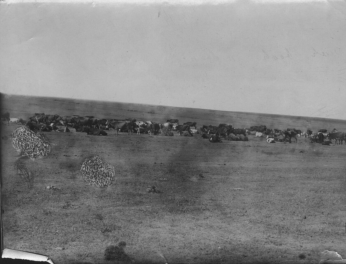 Archive Photograph