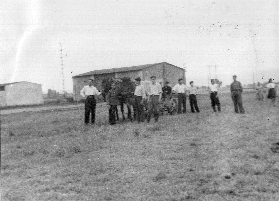 Archive Photograph