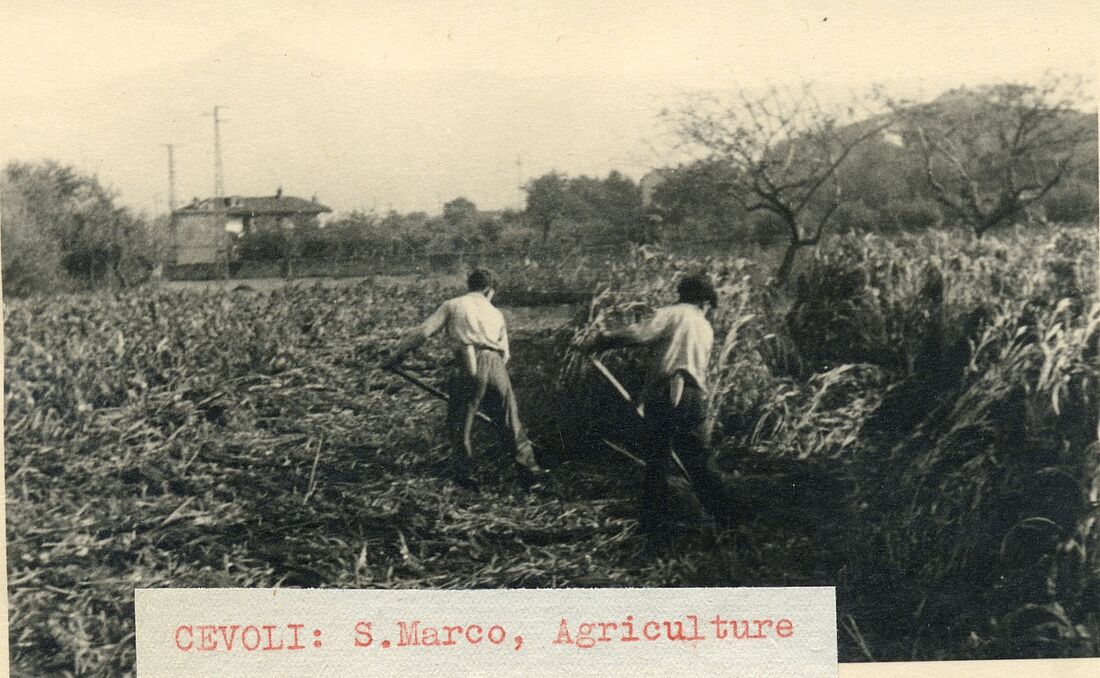 Archive Photograph