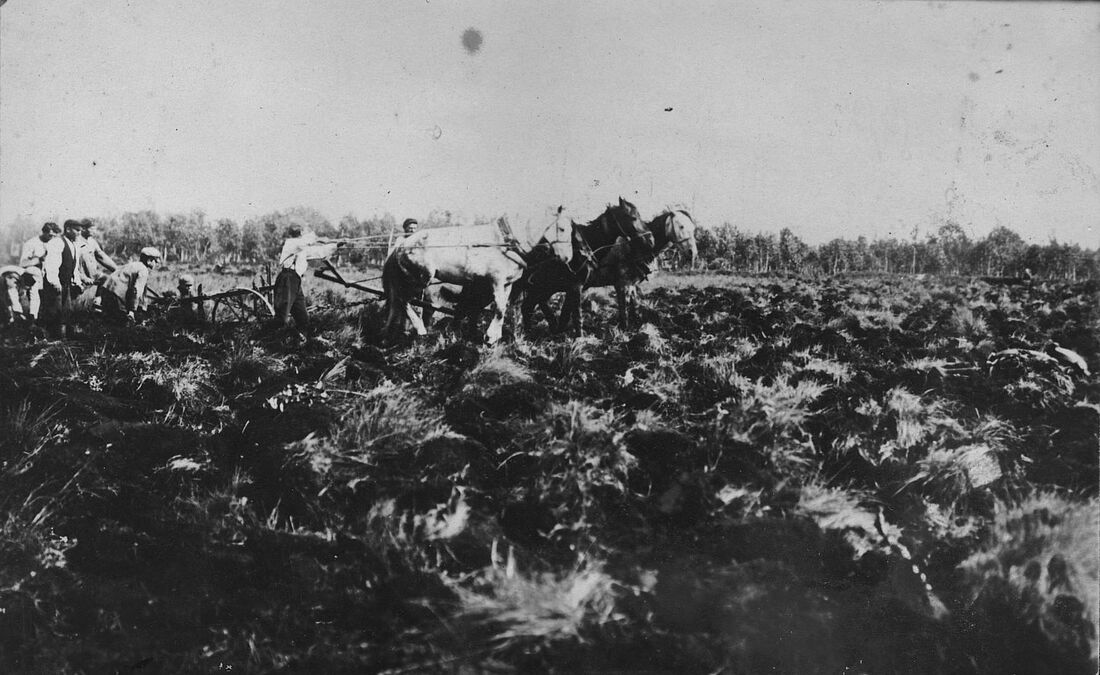 Archive Photograph