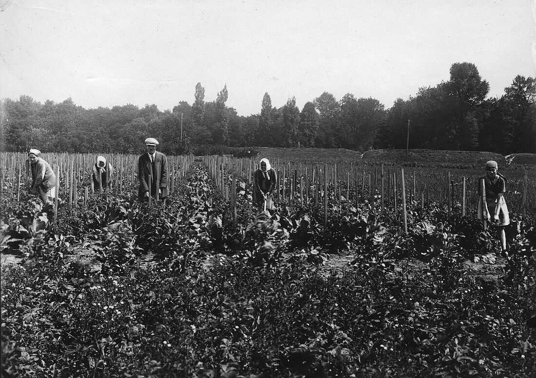Archive Photograph