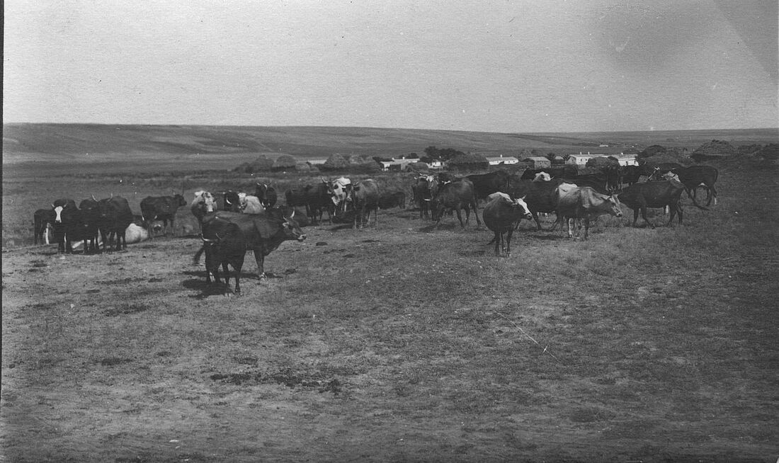 Archive Photograph