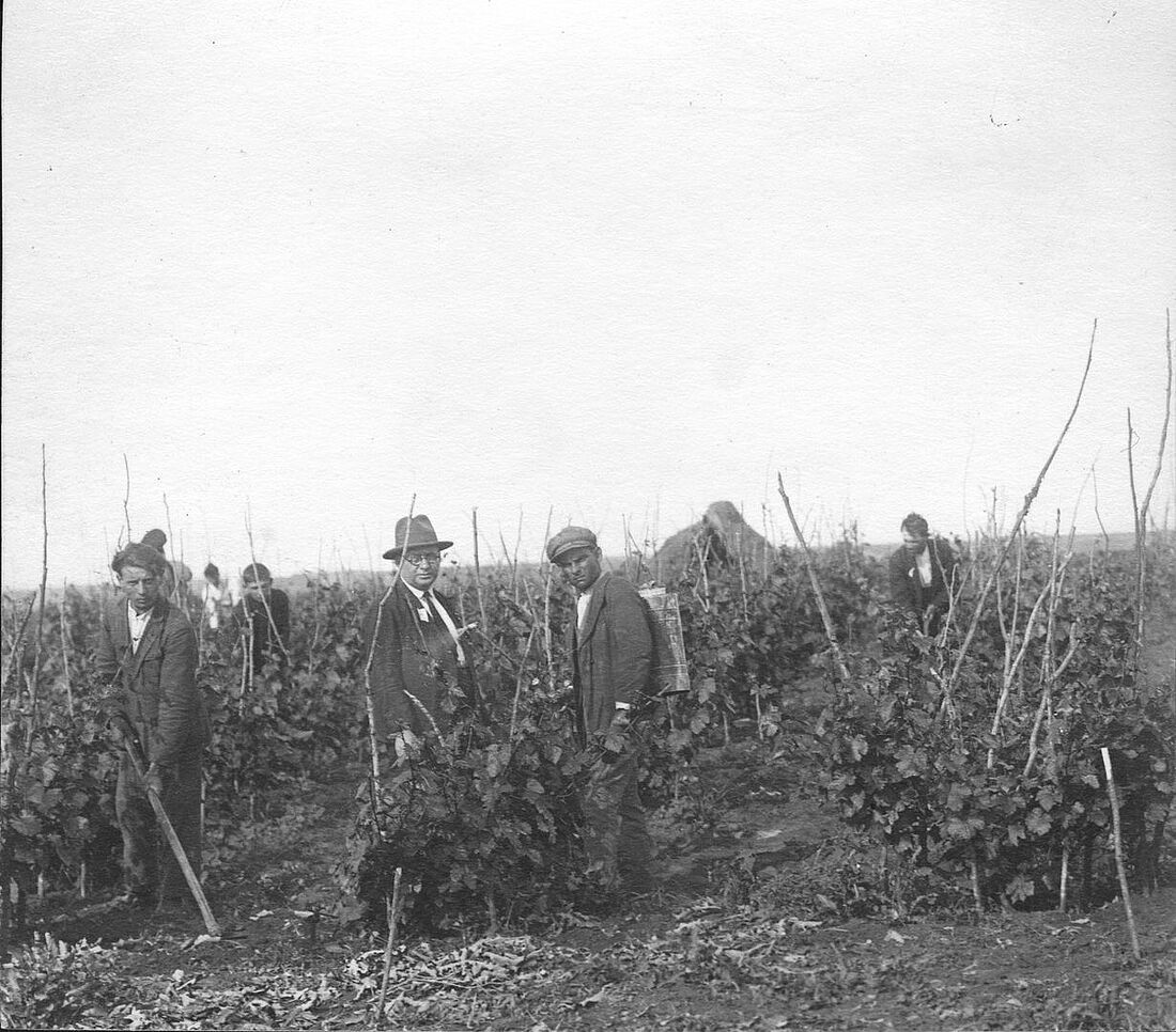 Archive Photograph