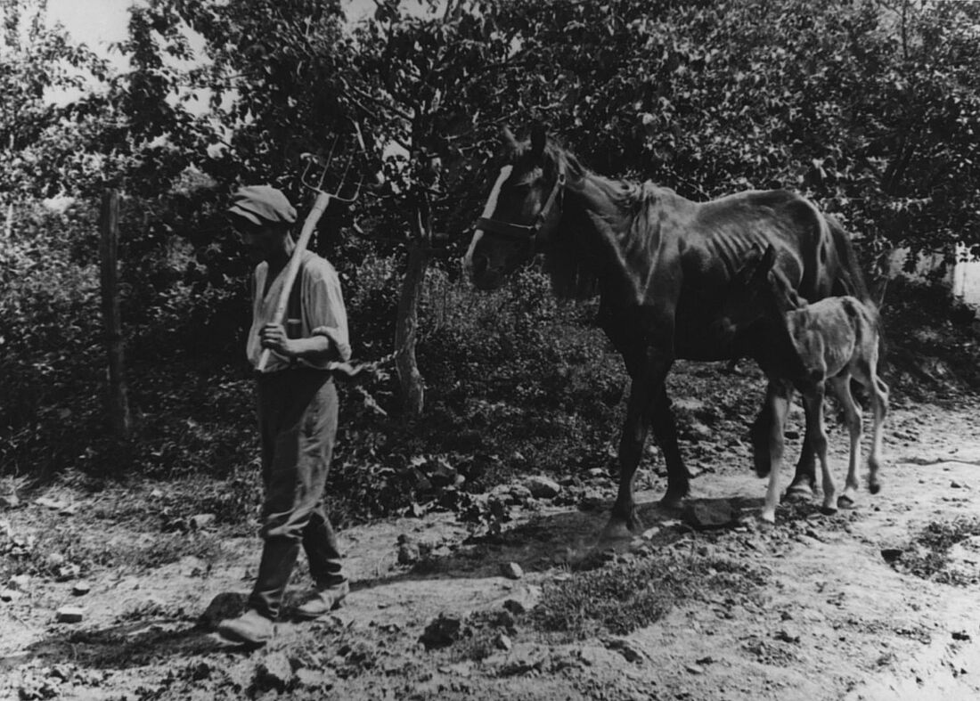 Archive Photograph