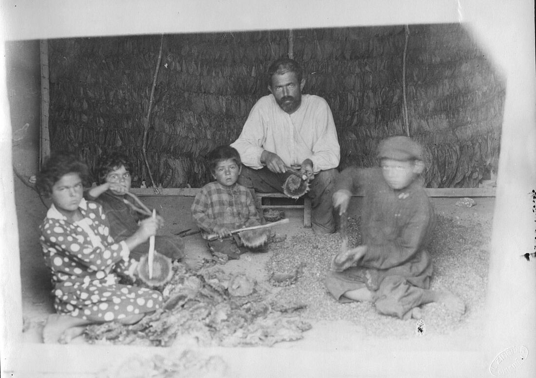 Archive Photograph