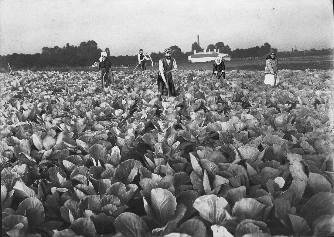 Archive Photograph