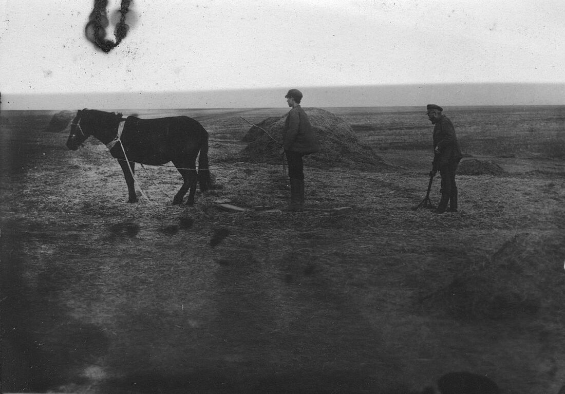 Archive Photograph