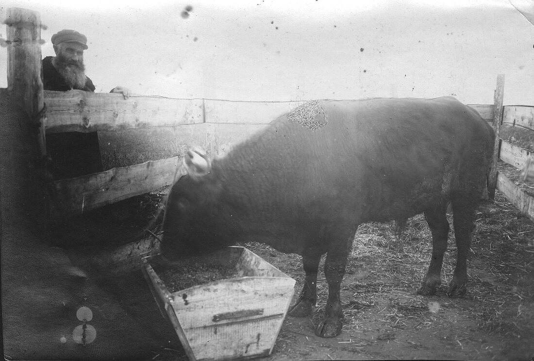 Archive Photograph