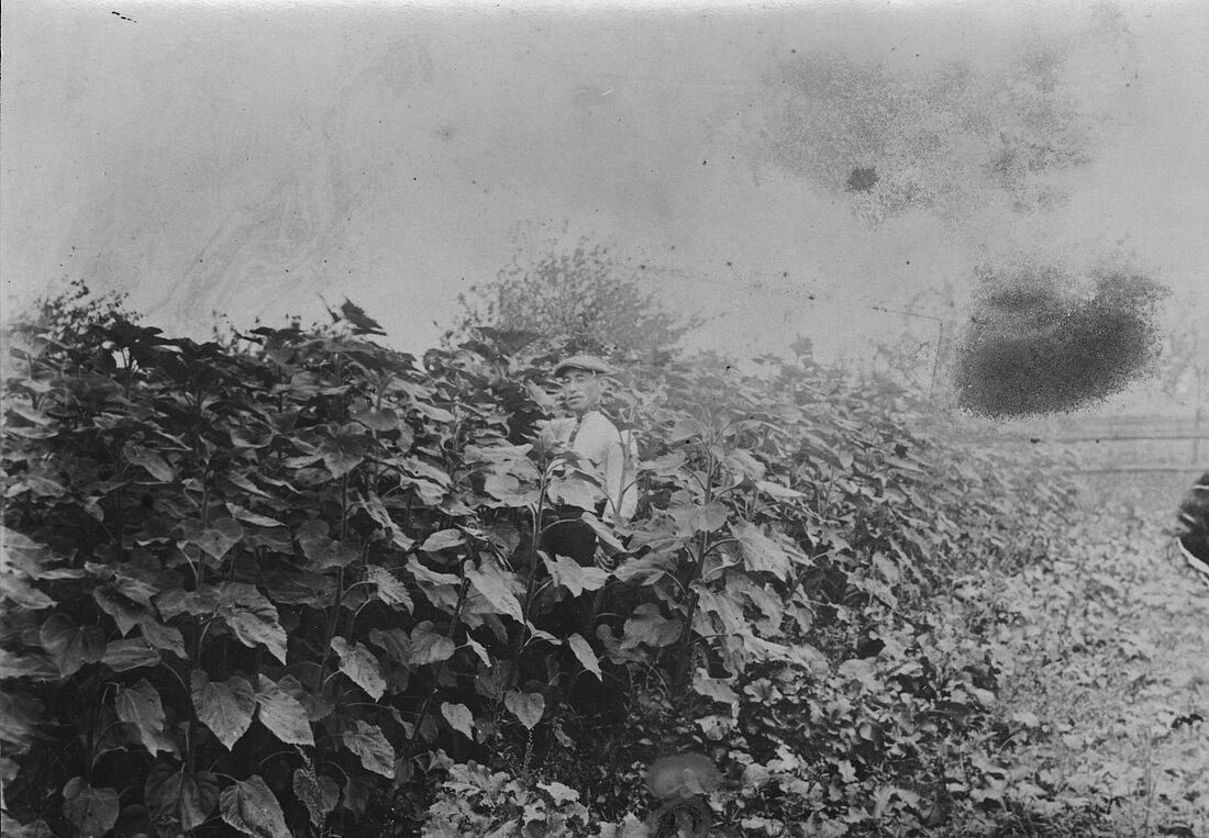 Archive Photograph