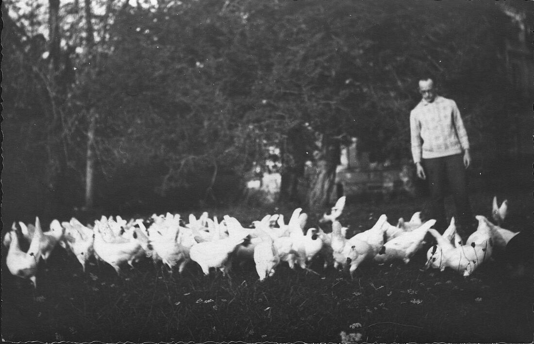 Archive Photograph