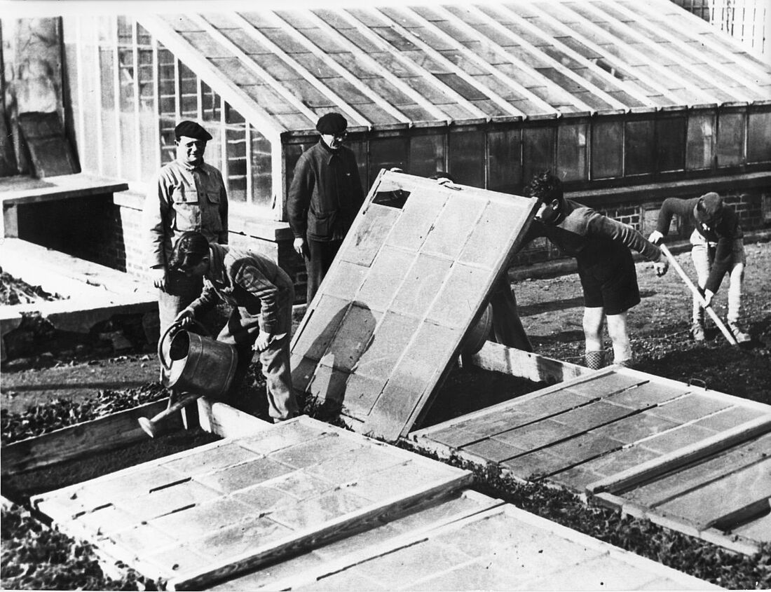 Archive Photograph