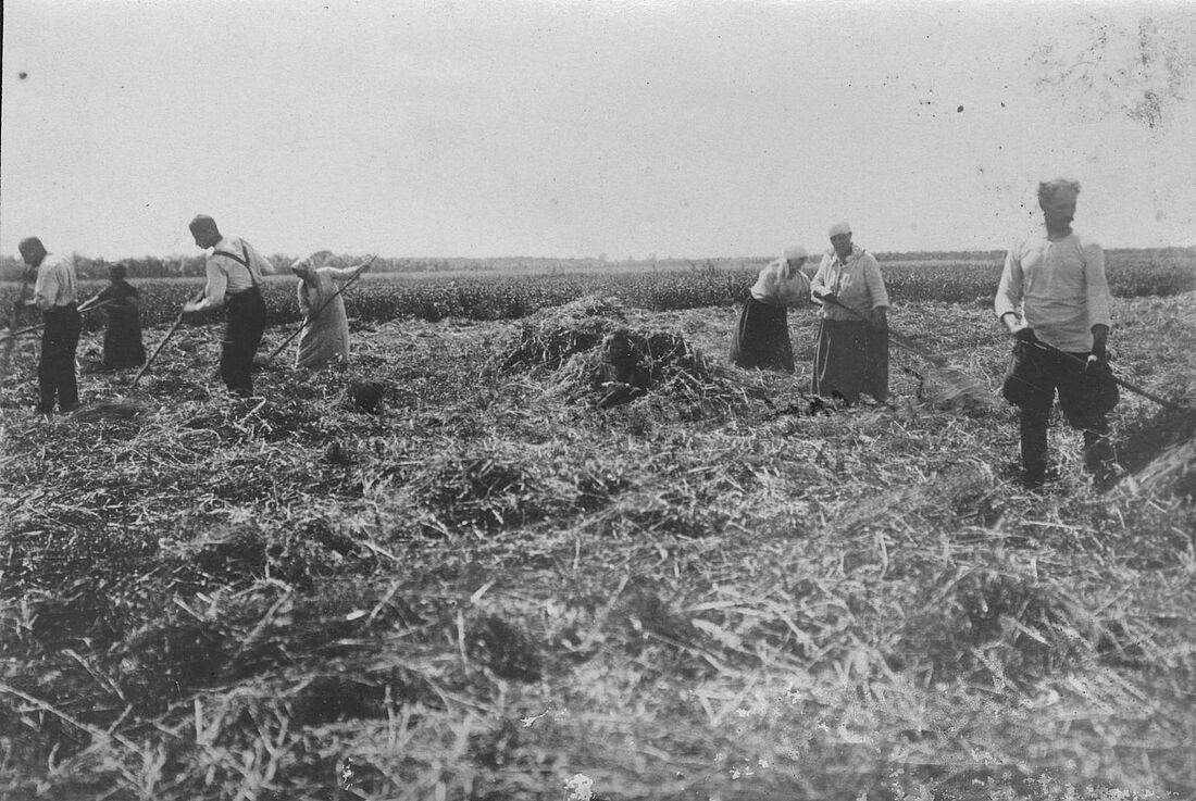 Archive Photograph