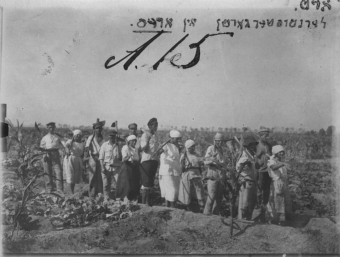 Archive Photograph