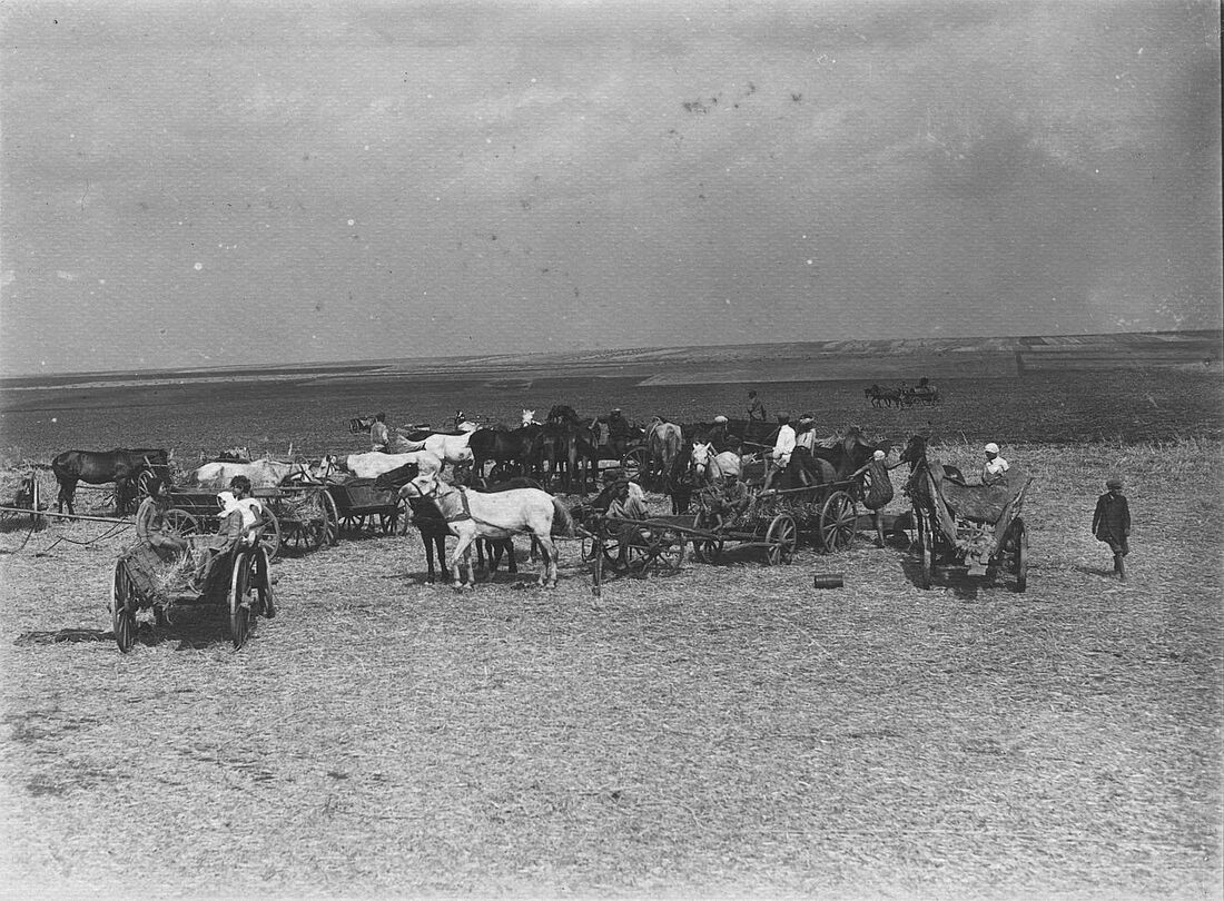 Archive Photograph