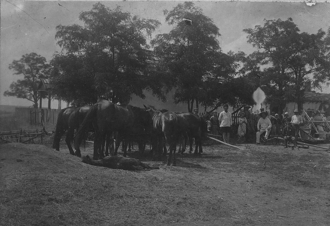 Archive Photograph