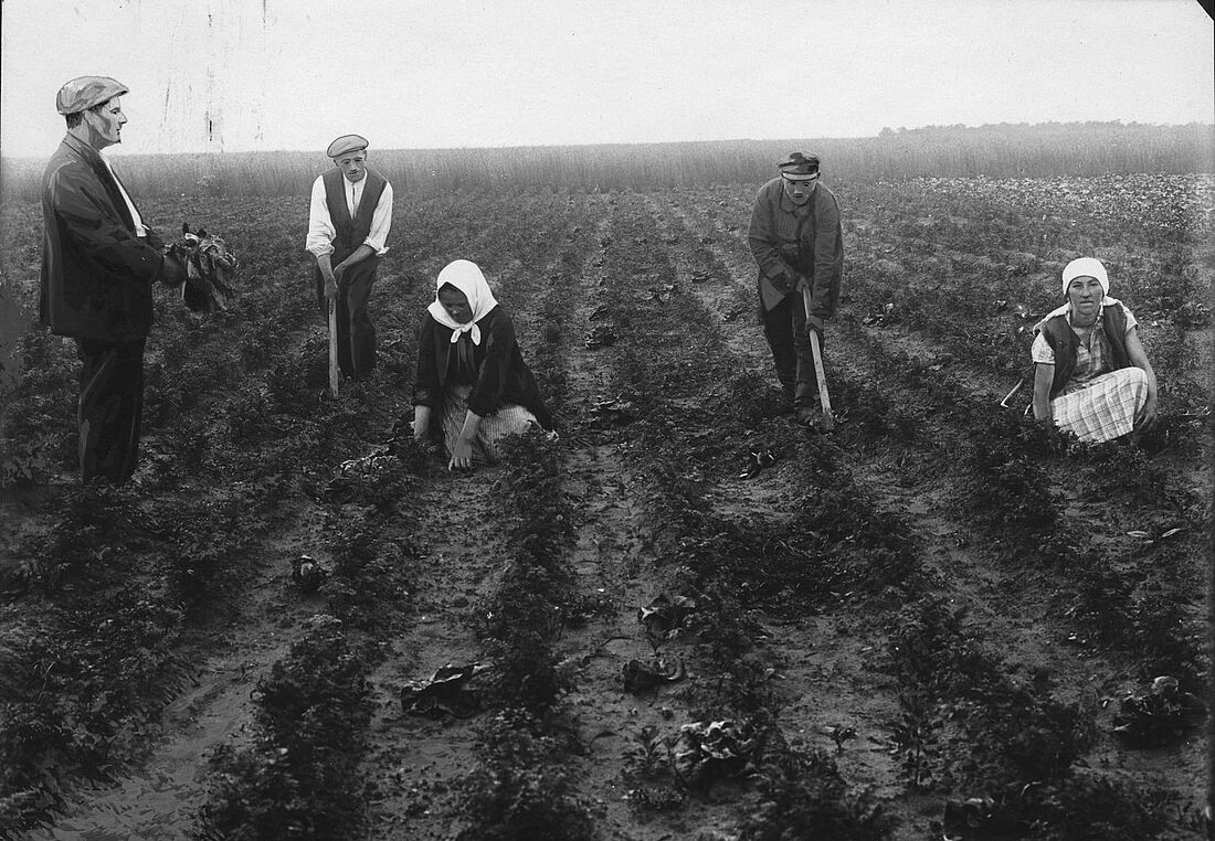Archive Photograph