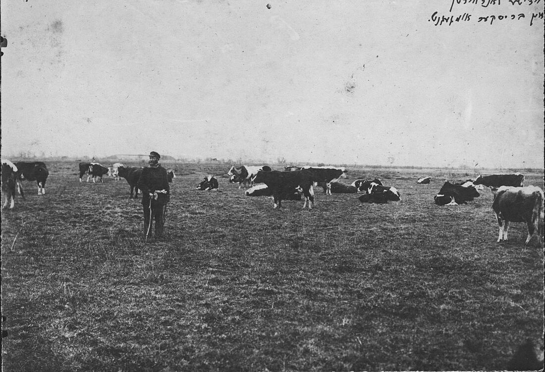 Archive Photograph