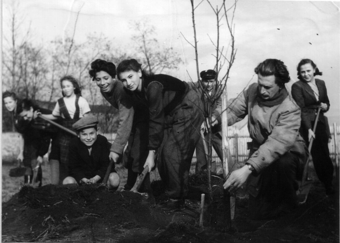 Archive Photograph