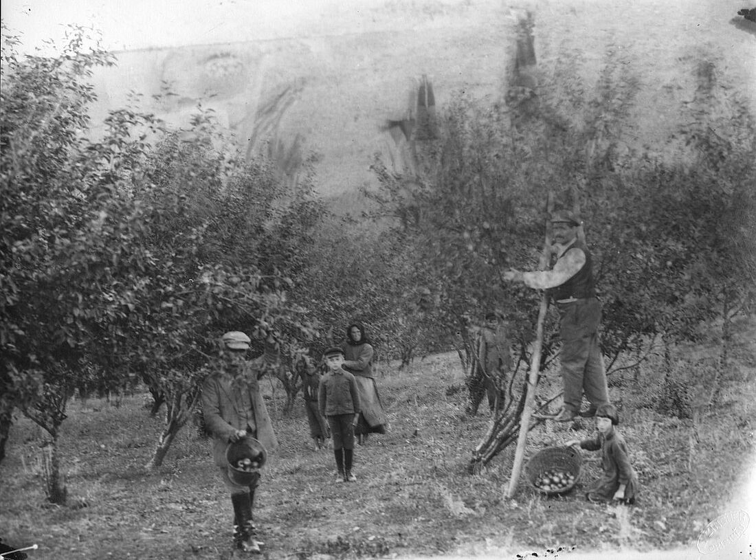 Archive Photograph