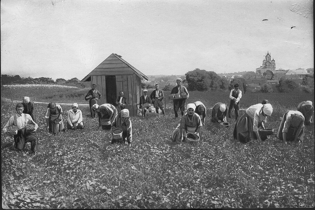 Archive Photograph