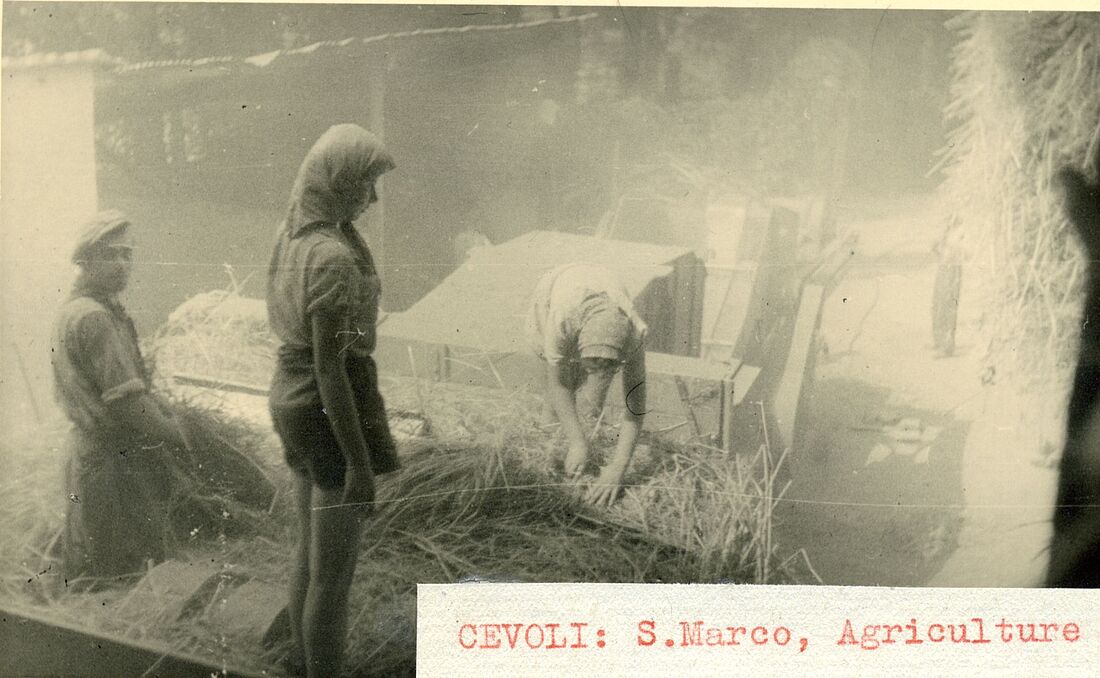 Archive Photograph