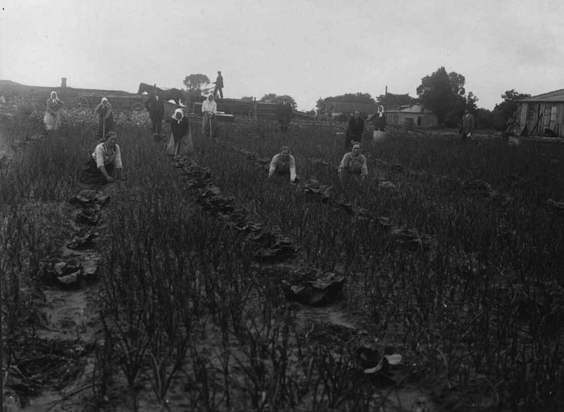 Archive Photograph